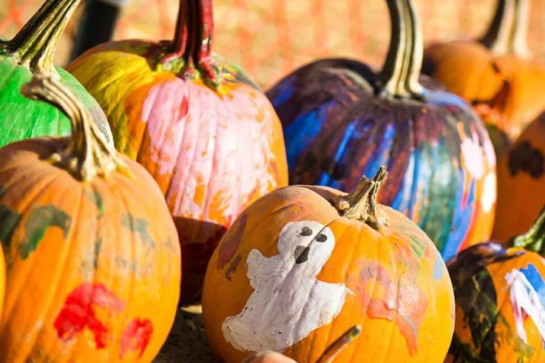 pumpkins